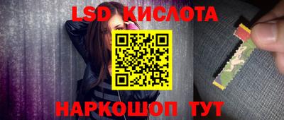 spice Берёзовский
