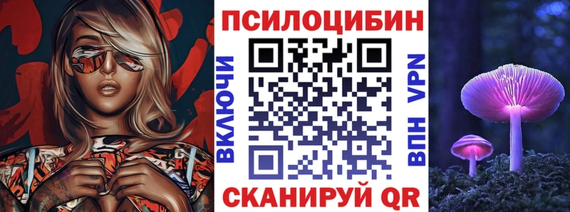 хочу наркоту  hydra как зайти  Псилоцибиновые грибы прущие грибы  Брянск 