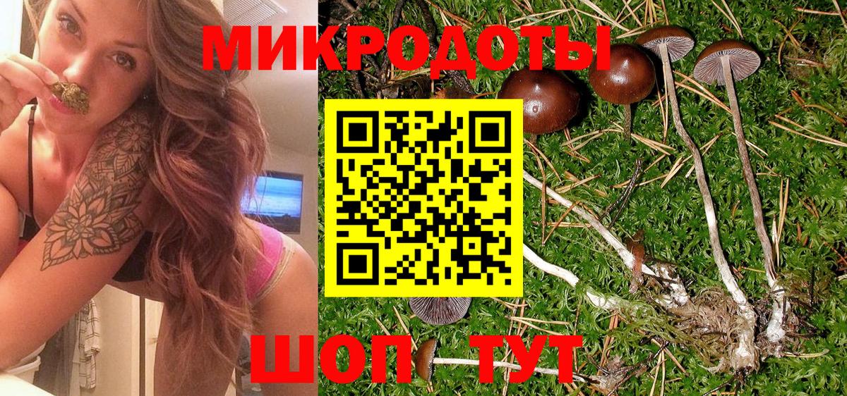 Галлюциногенные грибы мухоморы  Брянск 