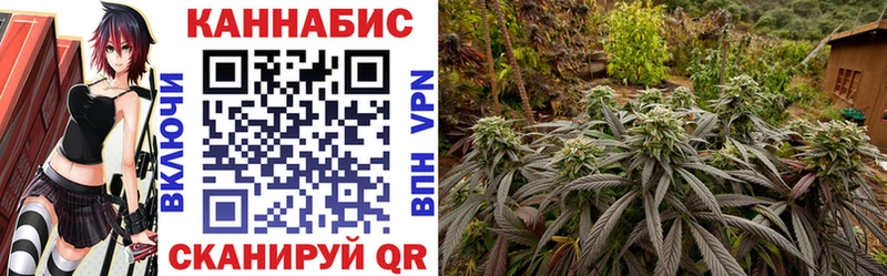 Шишки марихуана VHQ  Брянск 